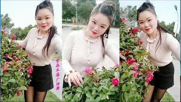 紫晶木莓,弹跳爱上一朵花