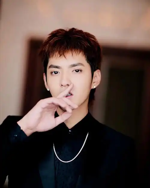 明星爱大牌:《欧洲攻略》全球首映礼 吴亦凡酷黑西装帅翻