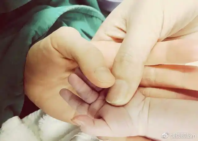 吉娜得子,郎朗晒一家三口握手照,网友:这可不是三只普通的手