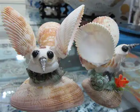 贝壳手工艺品贝壳做的工艺品图简单2022已更新今日更新