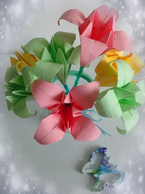 十五岁的花季(霏手工篇记)