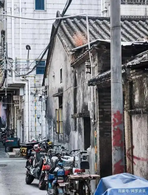 南山村:深圳"古老"城中村,有月租仅需400元的瓦房