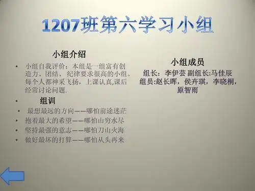 小组介绍   小组自我评价:本组是一组富有创 造力,团结, 纪律要求很高