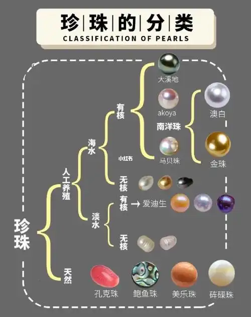 一篇看懂珍珠分类