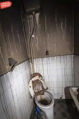 装修资讯 > 为什么卫生间是家里最危险的地方除了恶心的"小动物",厕所