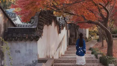 摄影 意境 壁纸 古风 图片来自微博.有自截改动『月落天白船动莲开』