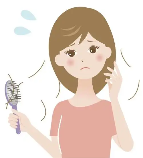 夏天不停脱发的原因是