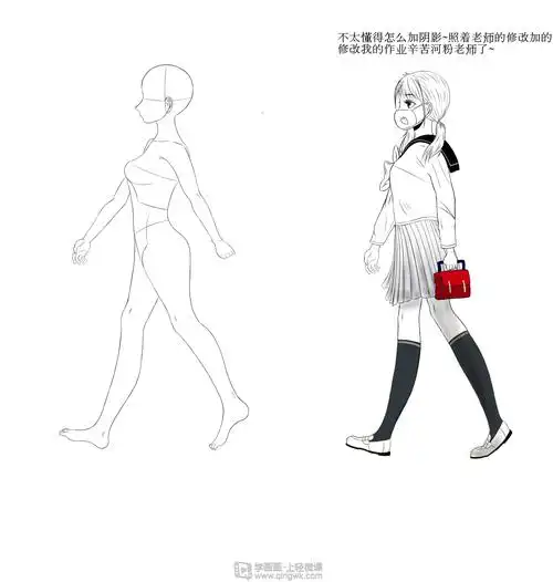 侧面的人体结构和细化