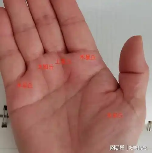 豹纹凤眼理财线有这些手纹的人偏财不断另外三个也有财运