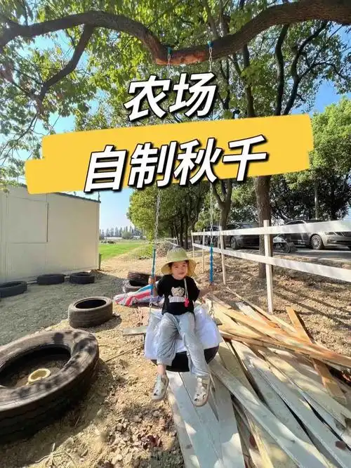 向往的农场自制秋千