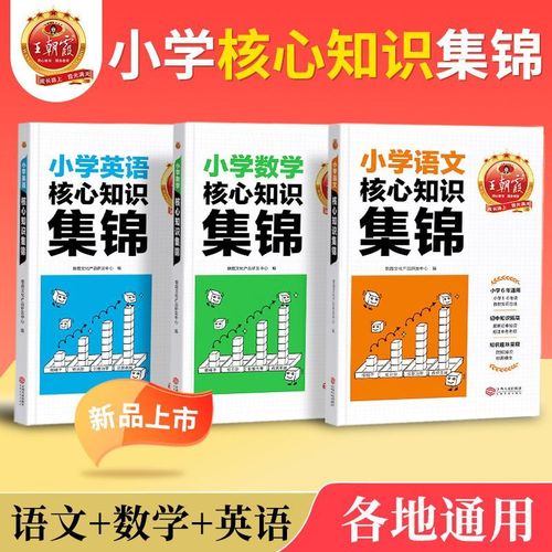 9成新 王朝霞小学核心知识集锦语文数学英语基础知识大全js 语文 小学