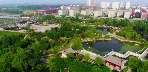 锦绣任丘—锦园美景 - 美篇