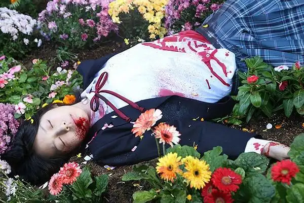 >死亡拼图(2014)    在一个完全没有任何征兆的日子裏,身穿校服,戴著