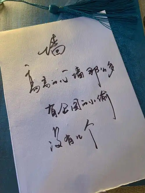 高高的心墙那么多有企图的小偷没有几个