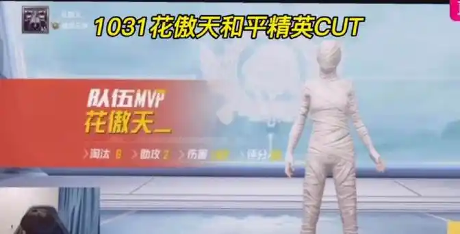 华晨宇和平精英品牌代言人