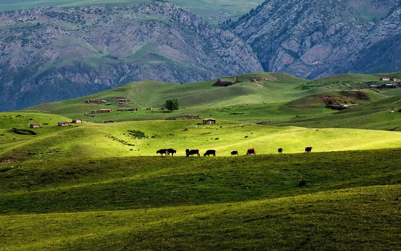 精选大草原唯美风景摄影图片电脑壁纸