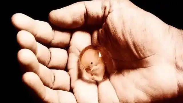 女人做流产后,那些胎儿最后都去哪儿了?看完让人忍不住心疼!