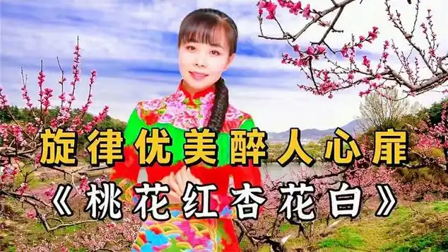 王二妮深情演唱一首《桃花红杏花白》旋律优美,悦耳动听!