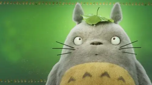 龙猫的宿世前生因皮毛险灭绝何德何能排进全球可爱动物前十名