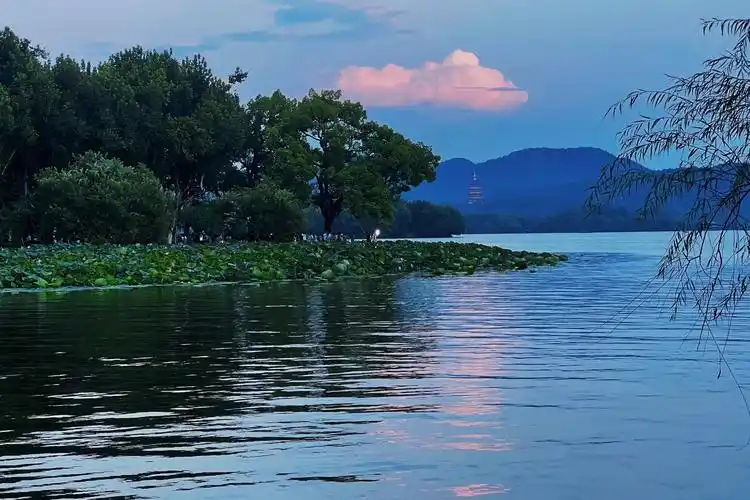 夏日的西湖荷塘有多美 #治愈系风景 #杭州西湖 总要来一次 - 抖音
