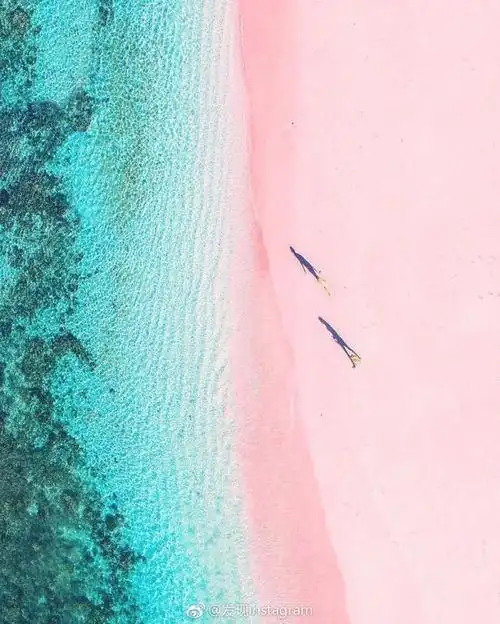 印尼科莫多岛的粉红沙滩 ins:iwwm