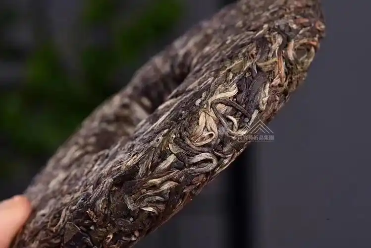 冰中岛2020冰岛老寨单株片