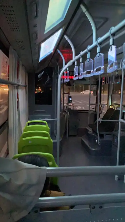 傍晚六点的公交车在人流中穿梭看到了烟火气息凌晨一点的城市夜景散发