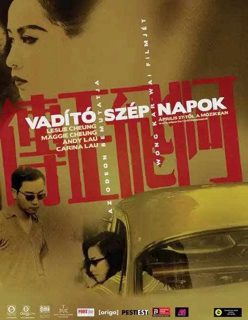 张国荣【阿飞正传[高清]》-电影下载-碧海潮声大学生网