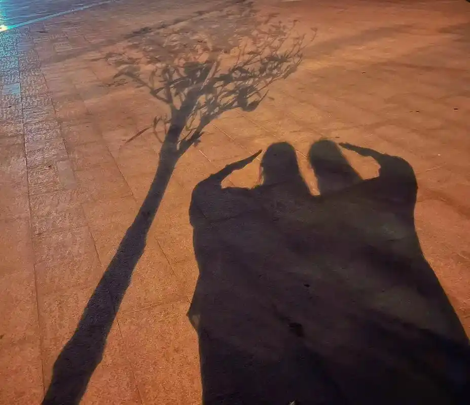 没什么好骄傲的  也不过陪伴了二十二年而已#路灯下的影子 # - 抖音