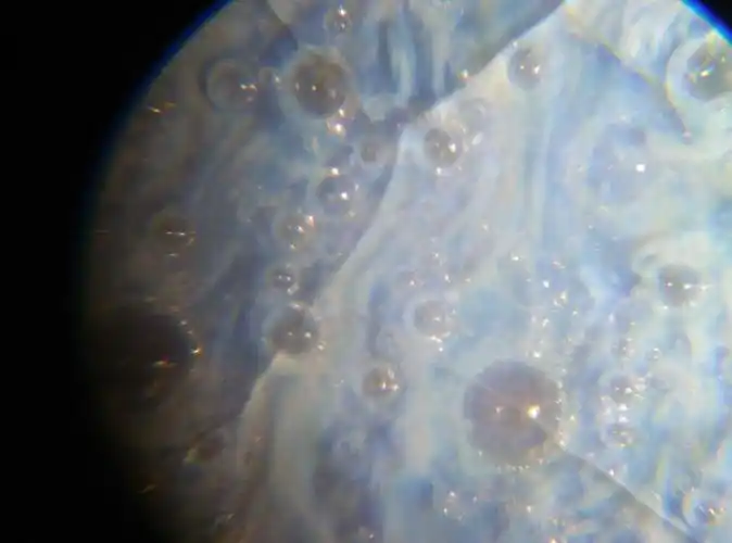 宋瓷五大名窑中,官,哥,定,钧四窑瓷器的气泡的特点是"聚沫攒珠".