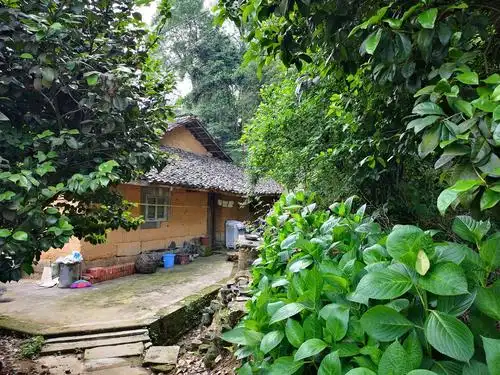 山中人家(2019.5.11)