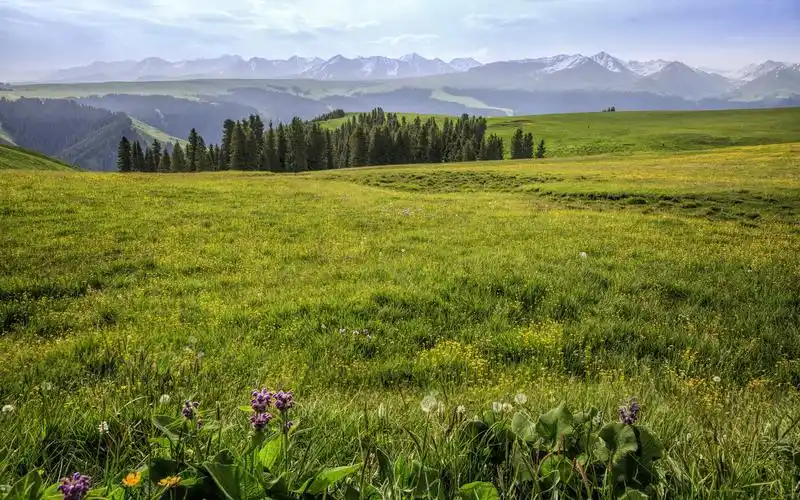 清新辽阔大草原风景图片桌面壁纸