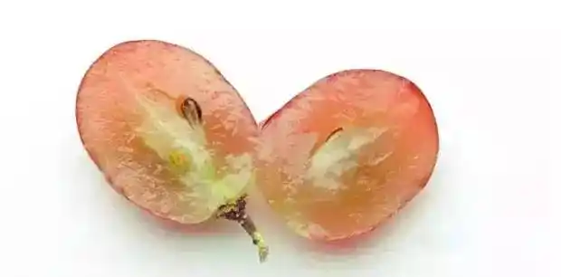 将一粒红皮葡萄从中切开,你会发现,葡萄皮是红色的,而葡萄果肉是白色