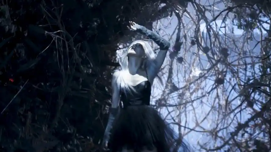 i like rose - 堆糖,美图壁纸兴趣社区