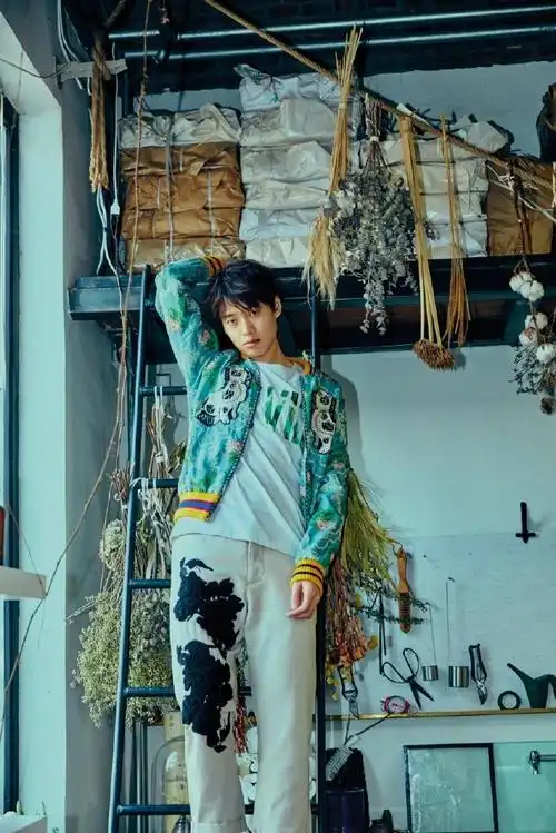 魏大勋史野##魏大勋不讨好的勇气##魏大勋魔方新世界