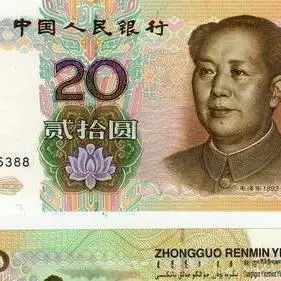 二十元人民币