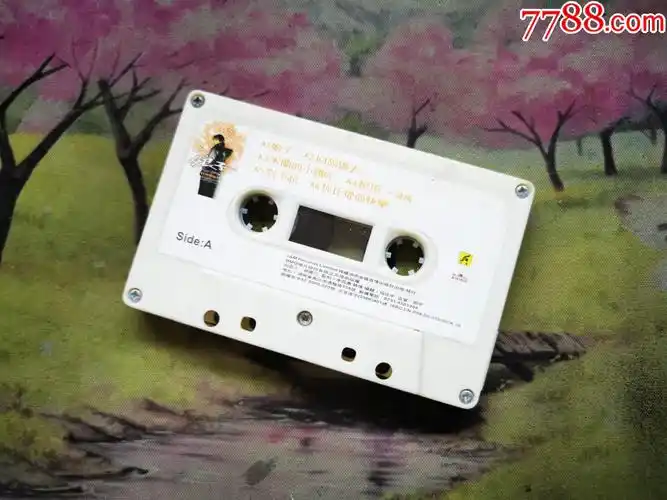 【周杰伦】【娘子】【磁带】