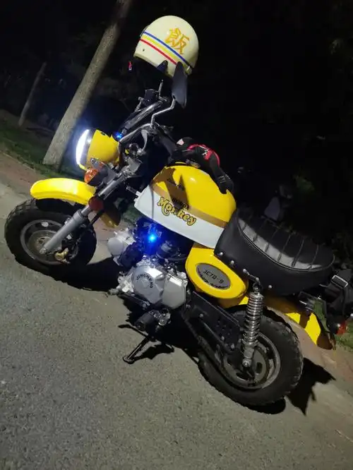 金城金童小猴子