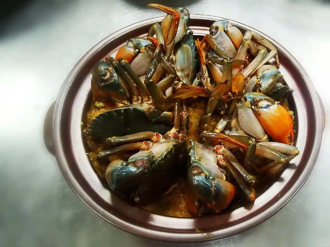 蟹的多种吃法!臻尚餐厅特色是海鲜多种做法,膏蟹可以选择传统: - 抖音