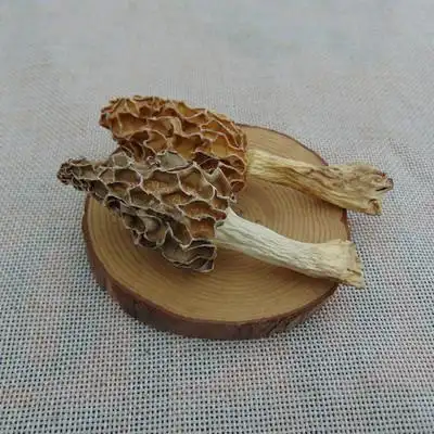 深山野生大别山特级菌羊肚菇蘑菇羊肚菌