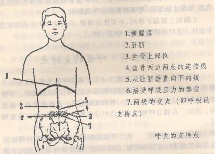 歌唱呼吸的支持点的获得