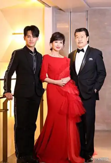 赵雅芝的3个儿子小儿子继承衣钵长子次子个个让她骄傲