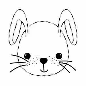 虚线可爱兔头野生动物插图照片