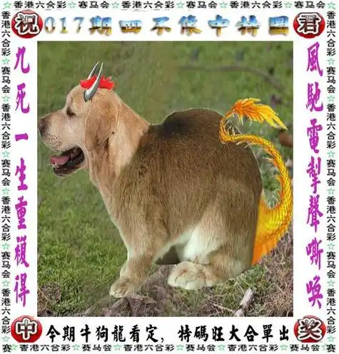 香港免费开奖资料大全,王中王马王中王资料大全,王中王资料大全枓大全