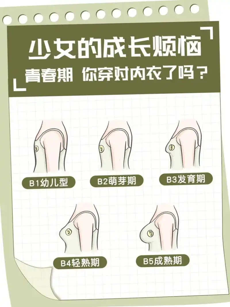 必看内衣指南6015胸部发育别害羞 倩倩子发现好多青春期小女生,不