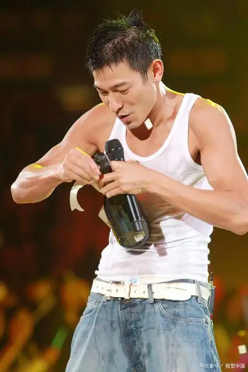 之前向太和刘德华有个打赌故事,打的什么赌呢?