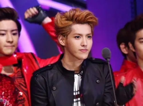 求吴亦凡2012mama颁奖表演的发型图一张