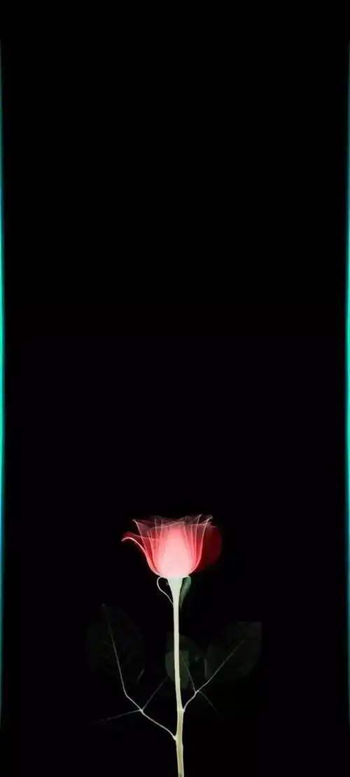 原创手机秒变"瀑布屏",这些3d曲面壁纸了解一下,边缘还会发光