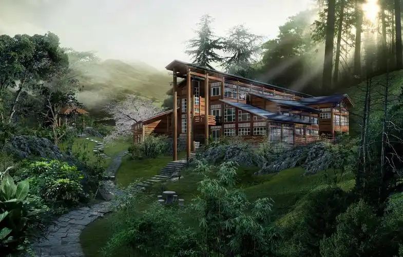 山中别墅 林间小路 阳关照射进来 高大乔木