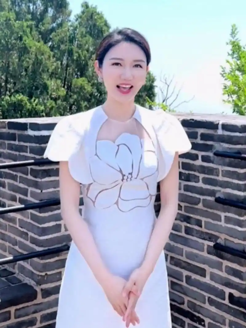 央视美女主持人龙洋接班董卿主持了诗词大会,还主持了春晚,成为了央视